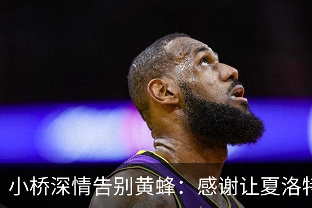 小桥深情告别黄蜂：感谢让夏洛特成为我的家 这里永远无可替代