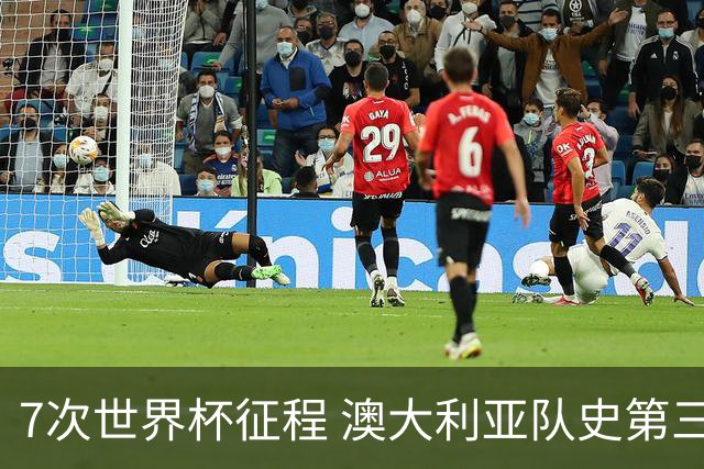 7次世界杯征程 澳大利亚队史第三次小组赛出线